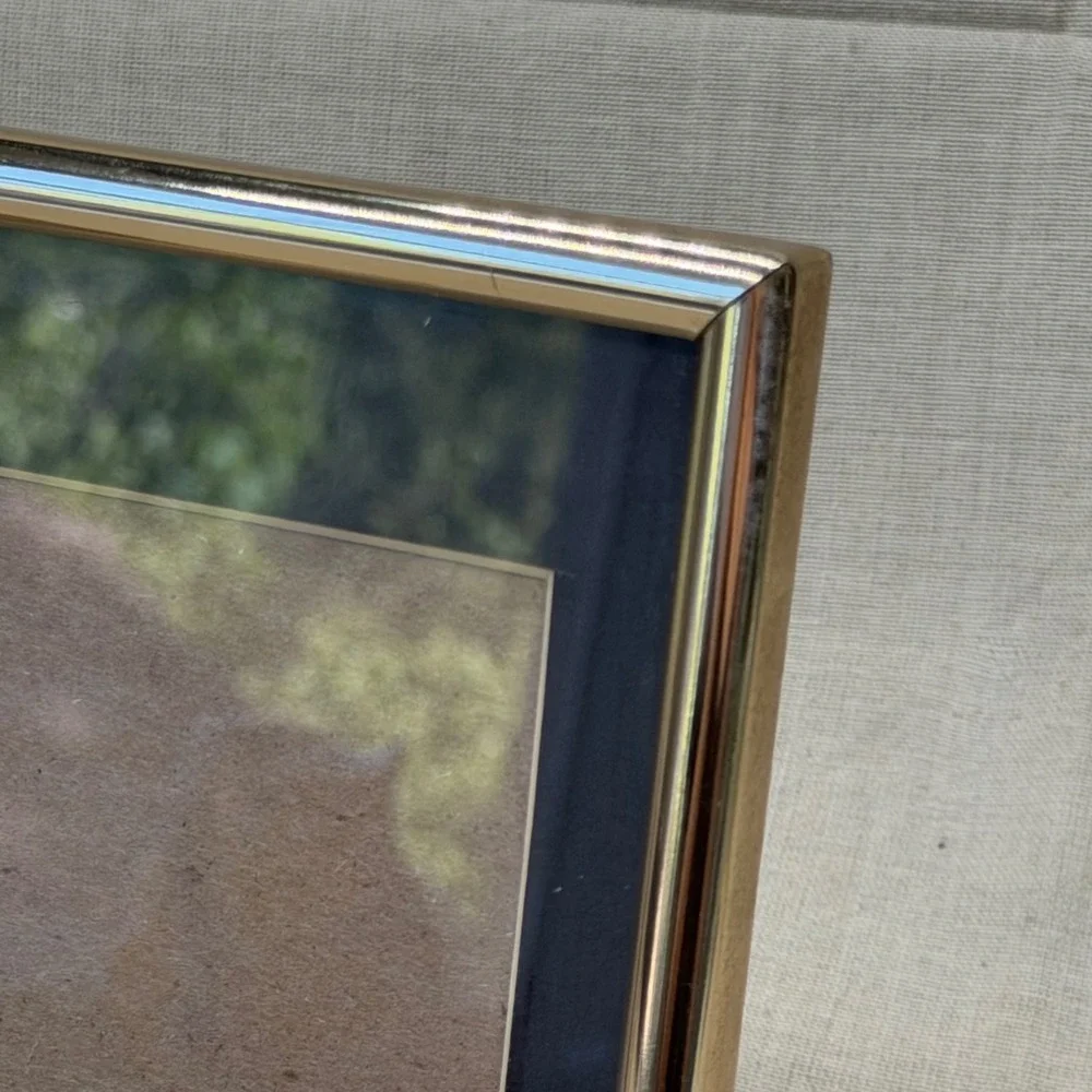 Vintage Brass Frames Set of 2 Charcoal Mat Library Shelf Decor 5x7 Frames